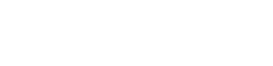 Politogy
